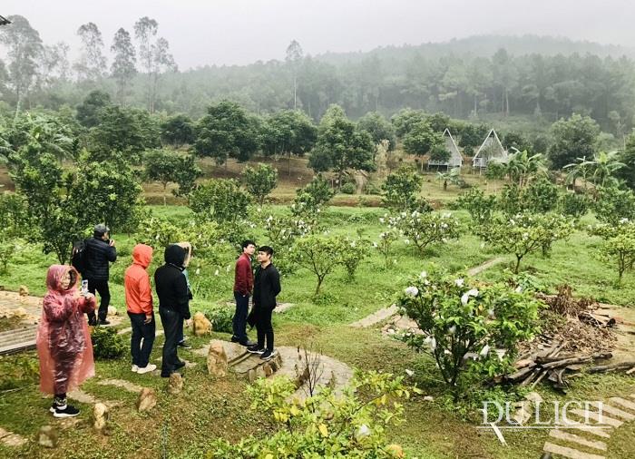 Đoàn khảo sát một mô hình canh nông tại xã Nam Nghĩa, huyện Nam Đàn